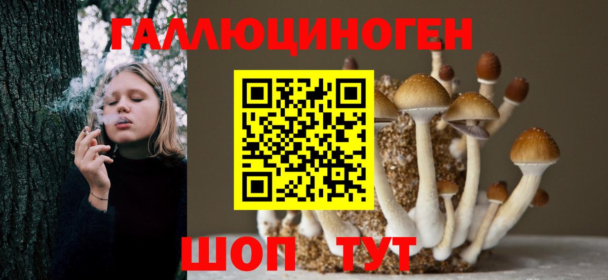 Сургут  Галлюциногенные грибы Psilocybe  Вход с VPN 